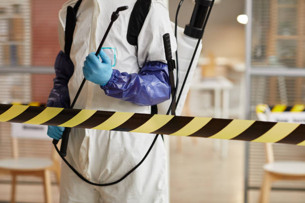 Professional Blood Cleanup technician working in Franklin Park, FL